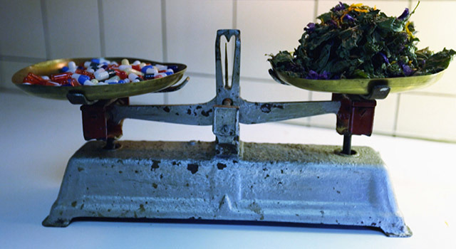 Les plantes médicinales, la santé est dans le pré ? Reportage mardi sur France 5