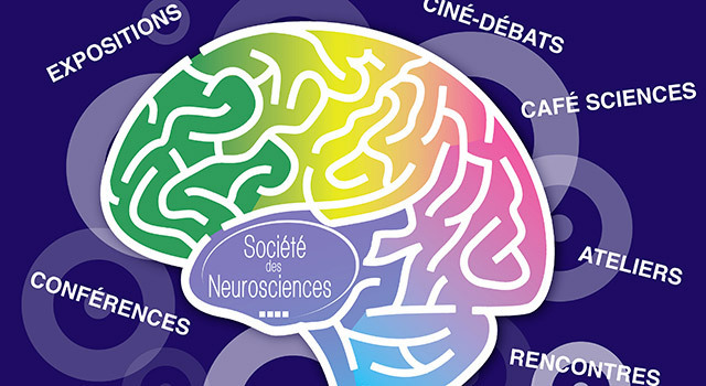 Une semaine pour découvrir toutes les capacités de notre cerveau