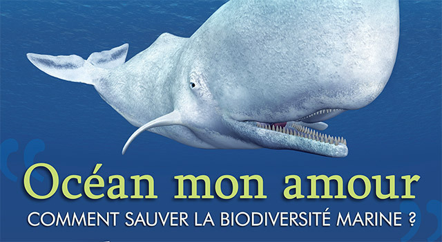 Une journée dédiée à la protection des océans à La Rochelle