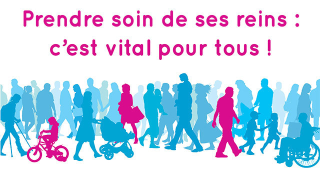 Du 21 au 28 mars : des dépistages gratuits à l'occasion de la Semaine Nationale du Rein