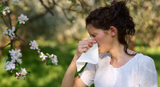 Un traitement peu connu contre les allergies : la micro-immunothérapie