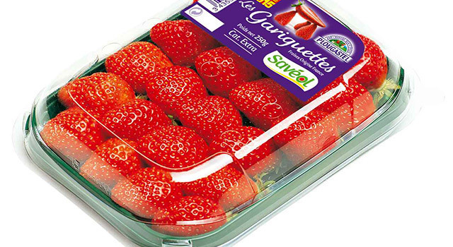 La Freizh, véritable patrimoine gastronomique breton