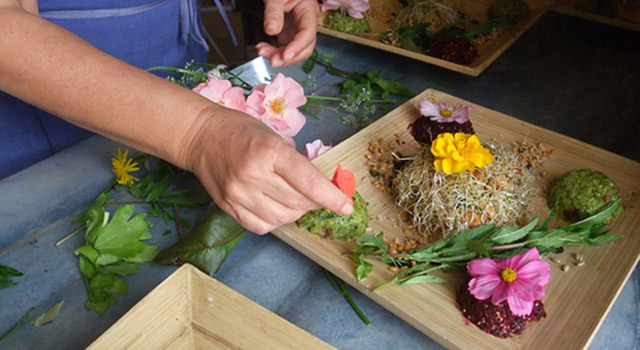 Des stages de cuisine naturelle et saine avec Terre Vivante