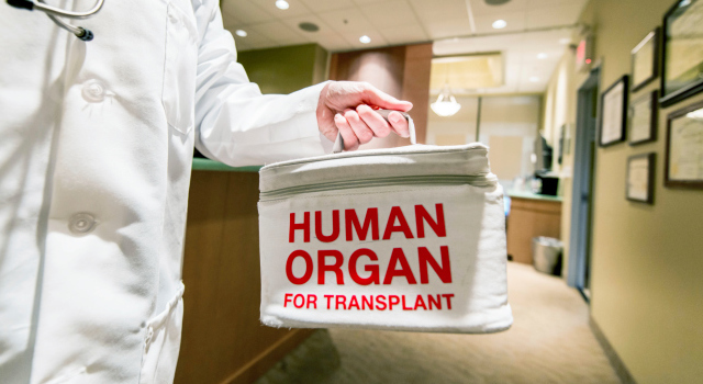 Vers un don d'organes automatique sans l'accord de la famille ?