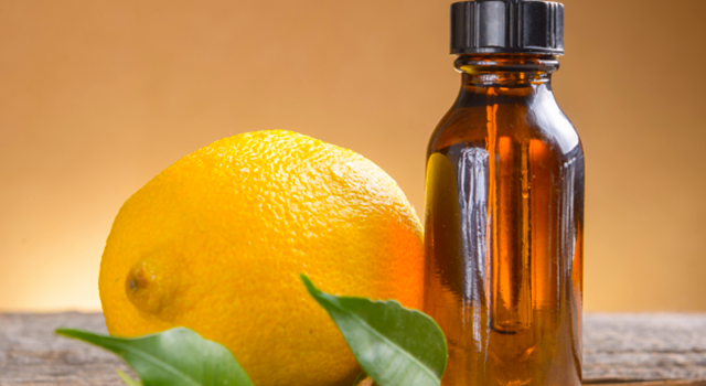 Aïe, un moustique m’a piqué !  Comment apaiser la démangeaison naturellement