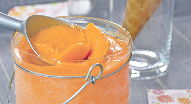 Sorbet maison au melon