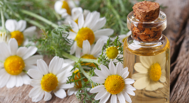 Psoriasis : 3 huiles essentielles pour apaiser les symptômes