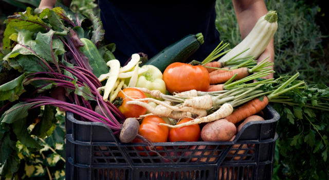 Hypothyroïdie : Quel régime alimentaire adopter ?