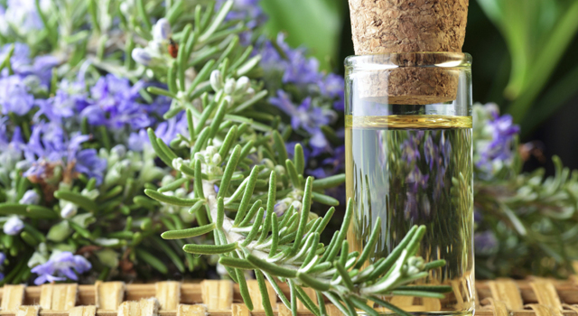 Quelles huiles essentielles contre les infections urinaires ?