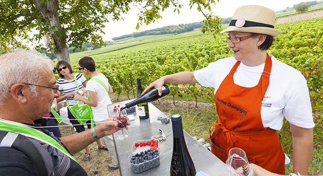 Vignes Vins Randos 2015, partez à la découverte des vins du Val de Loire
