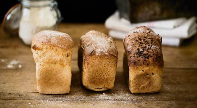 Glouton frais : du pain sans gluten beau et bon à Toulouse