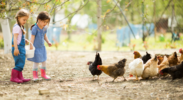 Vivre à la campagne éviterait les problèmes d’asthme