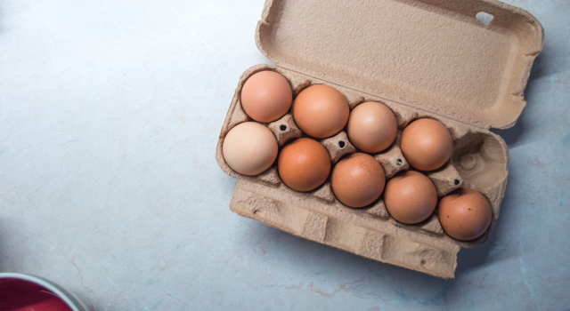 Les mystères de l’oeuf : un documentaire à suivre dimanche 27 septembre sur France 5