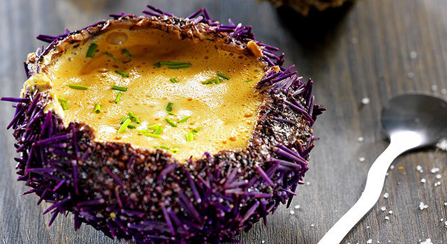 Crème d’oursin dans sa coque