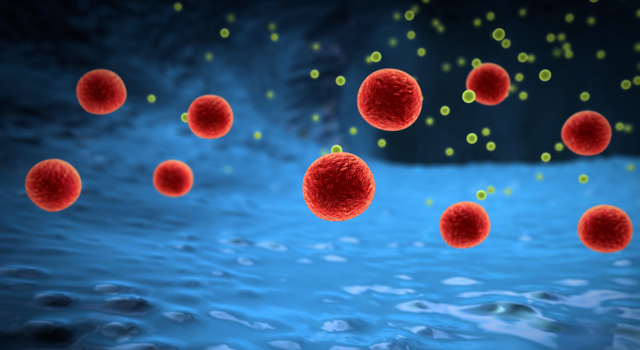 Les prébiotiques en prévention des allergies alimentaires