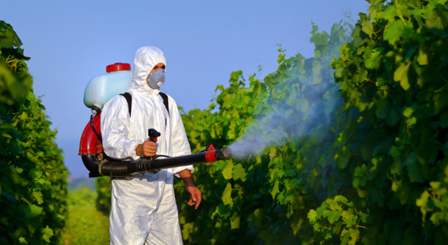 Tout ce que vous devez savoir sur les perturbateurs endocriniens