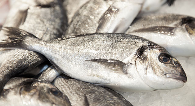 Bien choisir son poisson : adoptons la green attitude