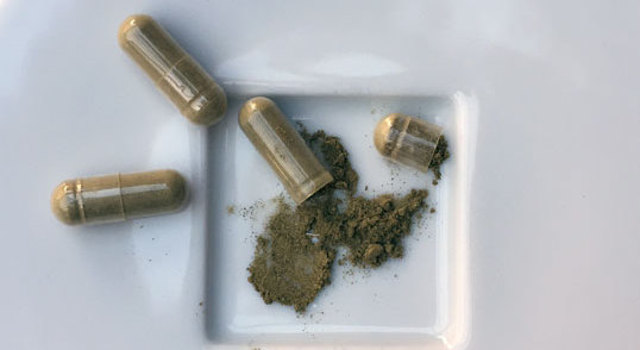 Pour ma cure détox, je choisis la phytothérapie éco-responsable