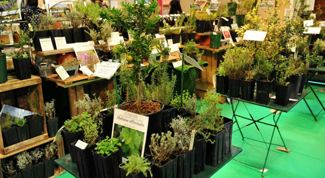 Le Salon Bien-être, Médecine douce & Thalasso : un rendez-vous à ne pas manquer en février !