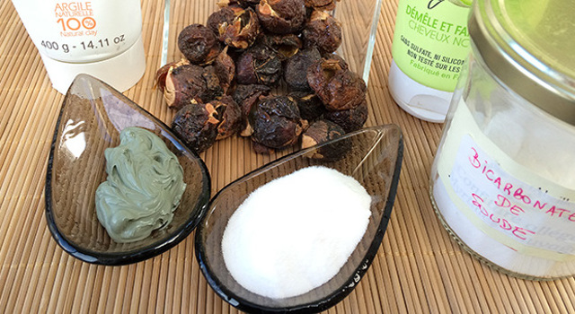 Tout ce que vous devez savoir sur le no-poo !