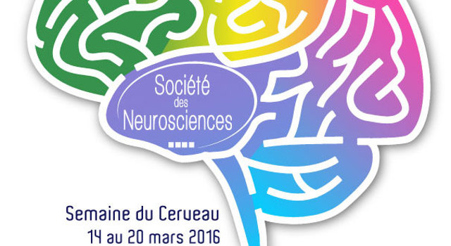 Une semaine pour mieux comprendre le fonctionnement du cerveau