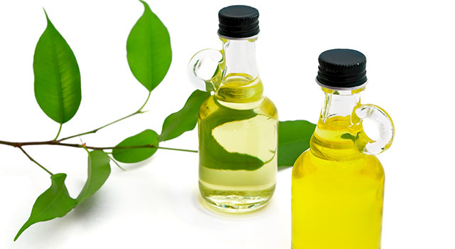 DIY : Tonique pour le visage à la sève de bouleau