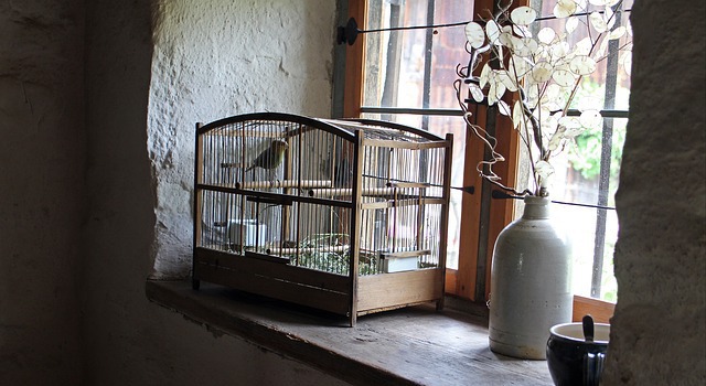 Comment désinfecter naturellement une cage ?