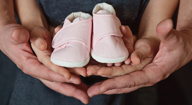 La grossesse - semaine 8