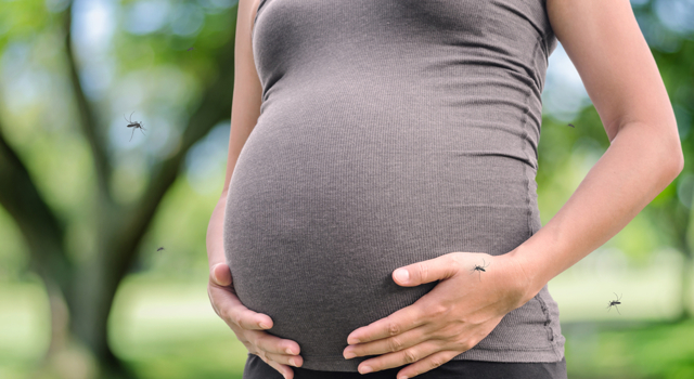 La grossesse - semaine 32