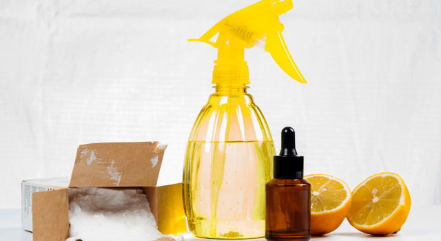 Les solutions bio et naturelles pour un intérieur parfait