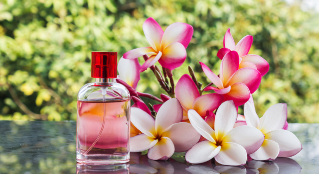 Parfum, eau de parfum, eau de toilette… Quelles sont les différences ?