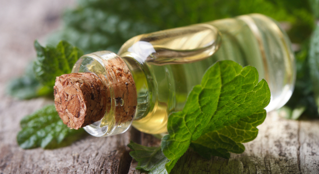 DIY : lotion clarifiante à la menthe