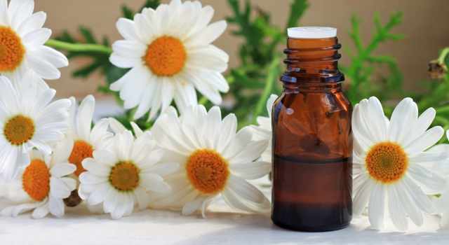 DIY : sérum de nuit à la camomille