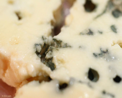 Insolite - Les bienfaits anti-âge du roquefort