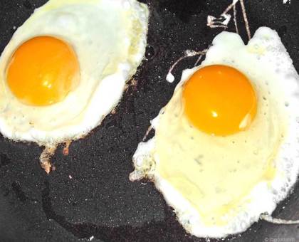 7 choses que vous ne saviez pas à propos des œufs