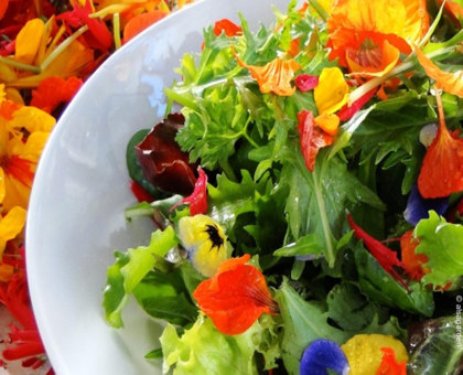 N'offrez plus vos fleurs, mangez-les !